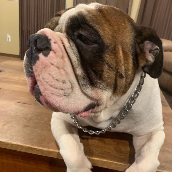 Meet your Posher, David - Picture 1 of 1